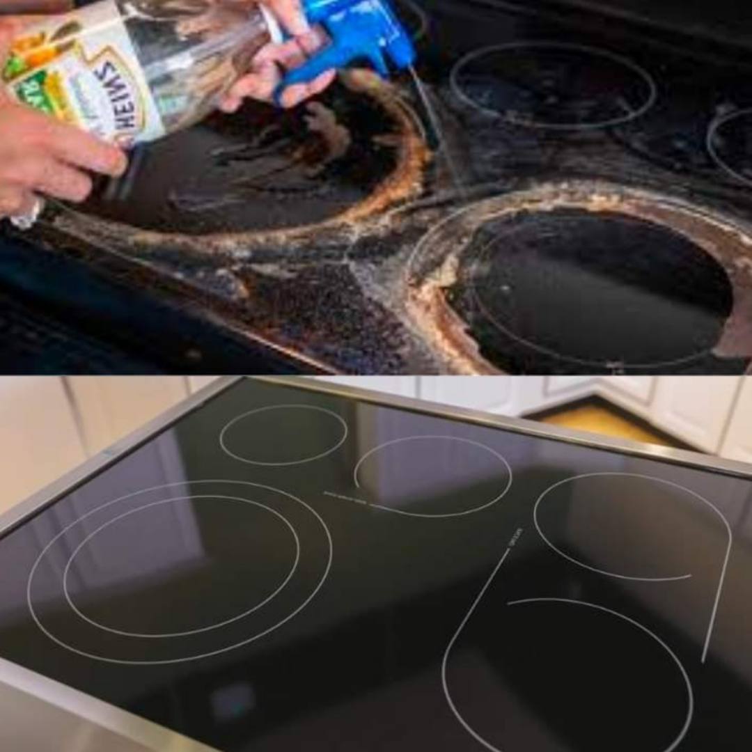 How To Get Your Glass Stovetop Sparkling Clean In Minutes Viral Recipes   Logopit 1700254632074 Compress27 